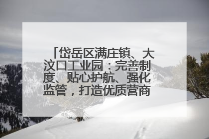 岱岳区满庄镇、大汶口工业园：完善制度、贴心护航、强化监管，打造优质营商“强磁场”