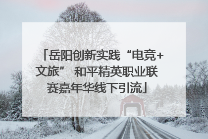 岳阳创新实践“电竞+文旅” 和平精英职业联赛嘉年华线下引流