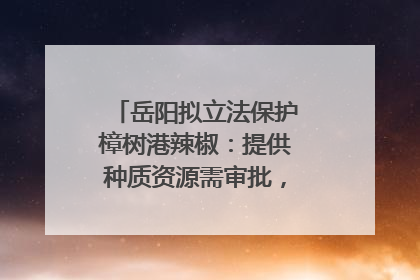 岳阳拟立法保护樟树港辣椒：提供种质资源需审批，违规最高罚5万