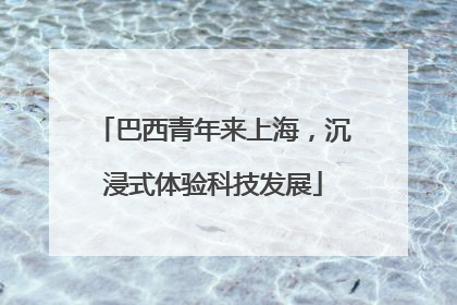 巴西青年来上海，沉浸式体验科技发展