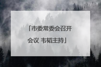 市委常委会召开会议 韦韬主持