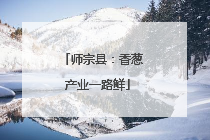 师宗县：香葱产业一路鲜