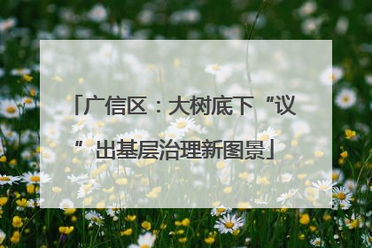 广信区：大树底下“议”出基层治理新图景