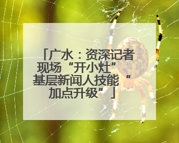 广水：资深记者现场“开小灶” 基层新闻人技能“加点升级”
