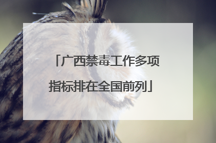 广西禁毒工作多项指标排在全国前列