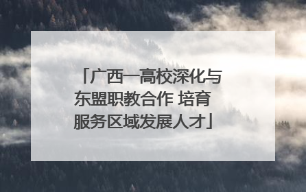 广西一高校深化与东盟职教合作 培育服务区域发展人才