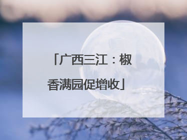 广西三江：椒香满园促增收