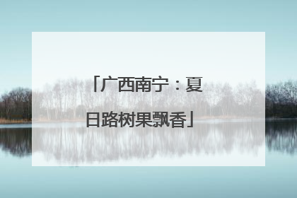 广西南宁：夏日路树果飘香