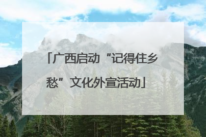 广西启动“记得住乡愁”文化外宣活动