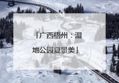 广西梧州：湿地公园夏景美