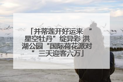 并蒂莲开好运来 “星空牡丹”绽异彩 洪湖公园“国际荷花派对”三天迎客六万