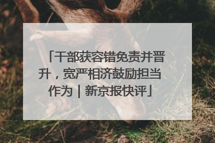 干部获容错免责并晋升，宽严相济鼓励担当作为｜新京报快评