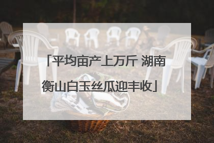 平均亩产上万斤 湖南衡山白玉丝瓜迎丰收