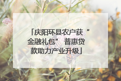 庆阳环县农户获“金融礼包” 普惠贷款助力产业升级