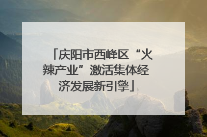 庆阳市西峰区“火辣产业”激活集体经济发展新引擎