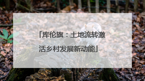 库伦旗：土地流转激活乡村发展新动能