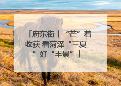 府东街丨“芒”着收获 看菏泽“三夏”好“丰景”