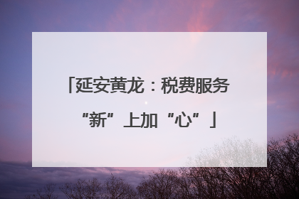 延安黄龙：税费服务“新”上加“心”