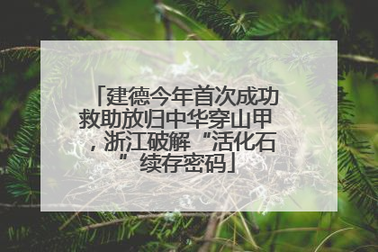 建德今年首次成功救助放归中华穿山甲，浙江破解“活化石”续存密码