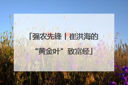 强农先锋丨崔洪海的“黄金叶”致富经