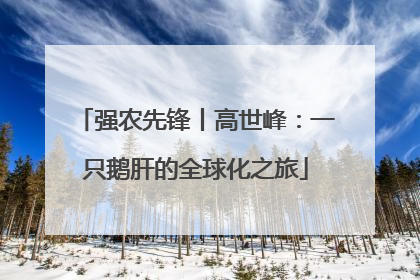 强农先锋丨高世峰：一只鹅肝的全球化之旅