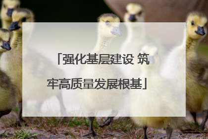 强化基层建设 筑牢高质量发展根基