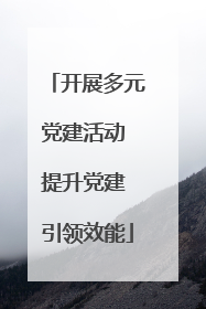 开展多元党建活动 提升党建 引领效能