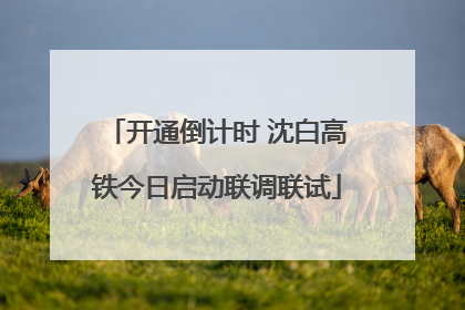 开通倒计时 沈白高铁今日启动联调联试