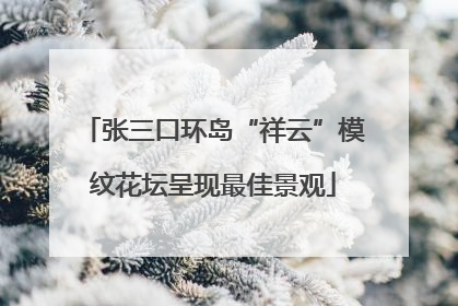 张三口环岛“祥云”模纹花坛呈现最佳景观