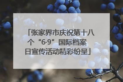 张家界市庆祝第十八个“6·9”国际档案日宣传活动精彩纷呈