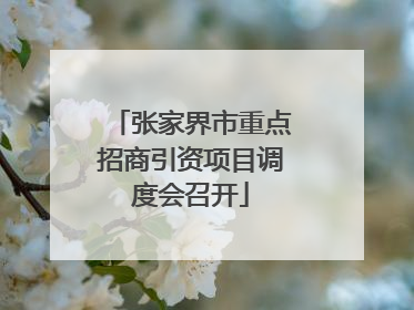 张家界市重点招商引资项目调度会召开