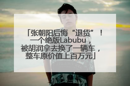 张朝阳后悔“退货”！一个绝版Labubu，被胡润拿去换了一辆车，整车原价值上百万元