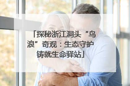 探秘浙江洞头“鸟浪”奇观：生态守护铸就生命驿站