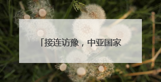 接连访豫，中亚国家的州长最关心啥？