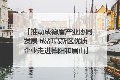 推动成德眉产业协同发展 成都高新区优质企业走进德阳和眉山