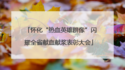 怀化“热血英雄群像”闪耀全省献血献浆表彰大会