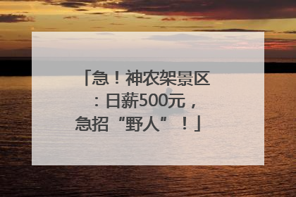 急！神农架景区：日薪500元，急招“野人”！