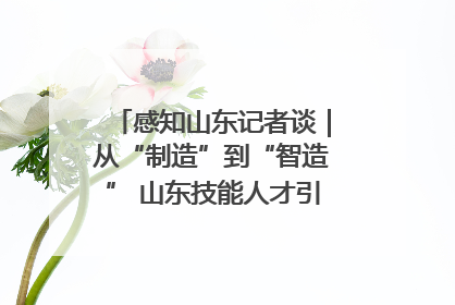 感知山东记者谈｜从“制造”到“智造” 山东技能人才引领产业升级