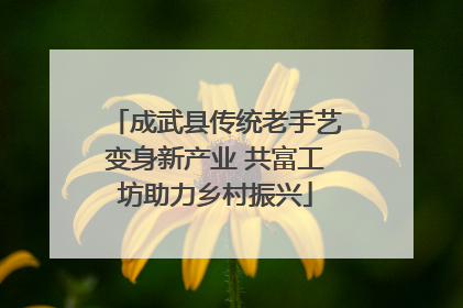 成武县传统老手艺变身新产业 共富工坊助力乡村振兴
