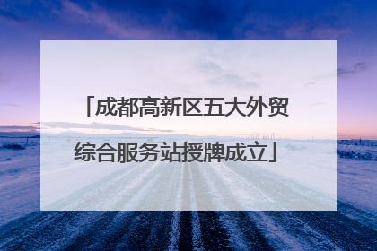 成都高新区五大外贸综合服务站授牌成立