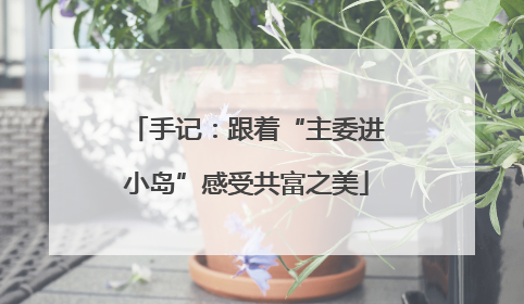 手记：跟着“主委进小岛”感受共富之美