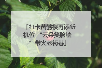 打卡黄鹤楼再添新机位 “云朵笑脸墙”带火老街巷