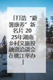 打造“避暑康养”新名片 2025年湖南乡村文旅投融资洽谈会在桃江举办