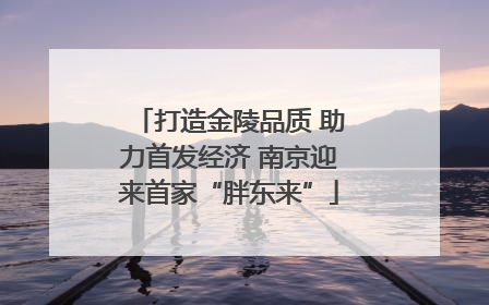 打造金陵品质 助力首发经济 南京迎来首家“胖东来”