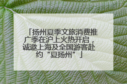 扬州夏季文旅消费推广季在沪上火热开启，诚邀上海及全国游客赴约“夏扬州”