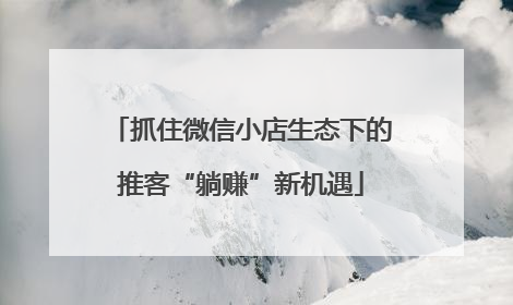 抓住微信小店生态下的推客“躺赚”新机遇