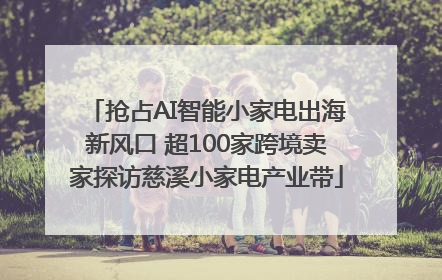 抢占AI智能小家电出海新风口 超100家跨境卖家探访慈溪小家电产业带