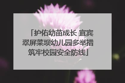 护佑幼苗成长 宜宾翠屏菜坝幼儿园多举措筑牢校园安全防线