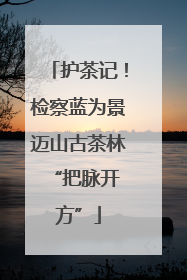 护茶记！检察蓝为景迈山古茶林 “把脉开方”