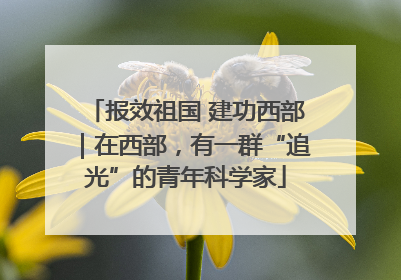 报效祖国 建功西部｜在西部，有一群“追光”的青年科学家